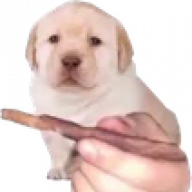 Dub
